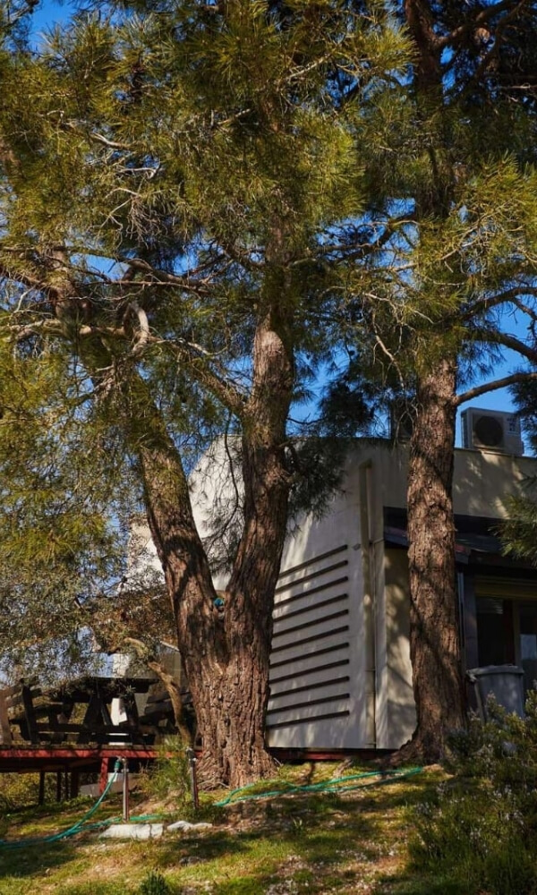 Sahibinden İzmir Tatil Villası